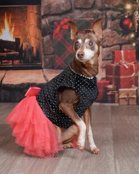 Blossom’s Hershey