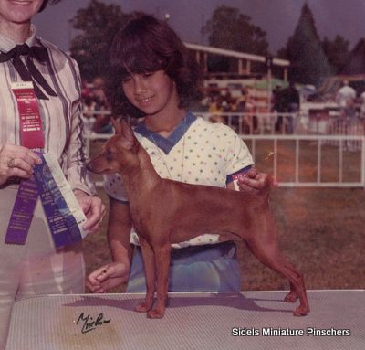 Delwood’s Bogart Of Barnette